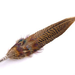 Feather Hat Pin   -    Pheasant Feathers